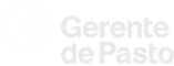 Gerente de Pasto